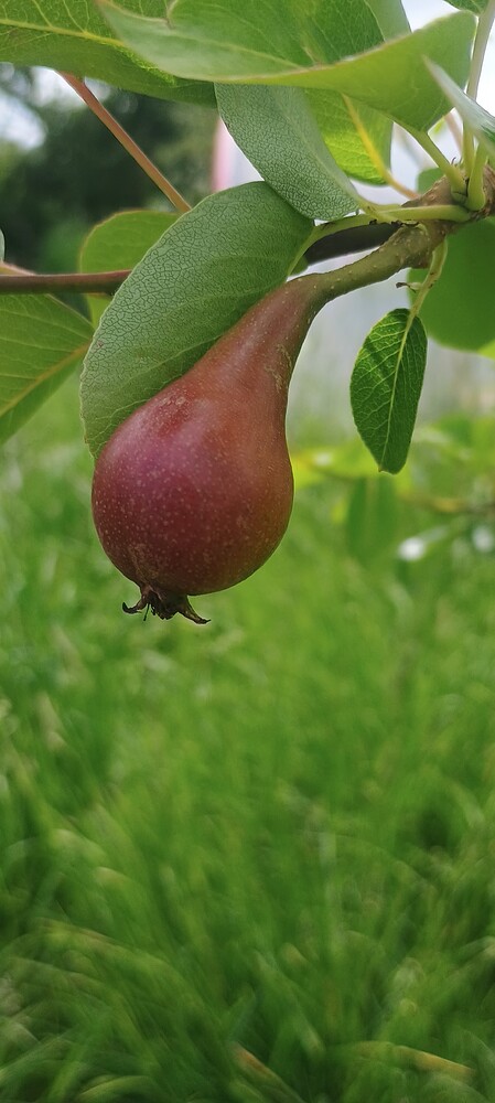 IMG_20250528_105543512