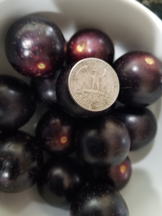 16002920123038453710467821801284