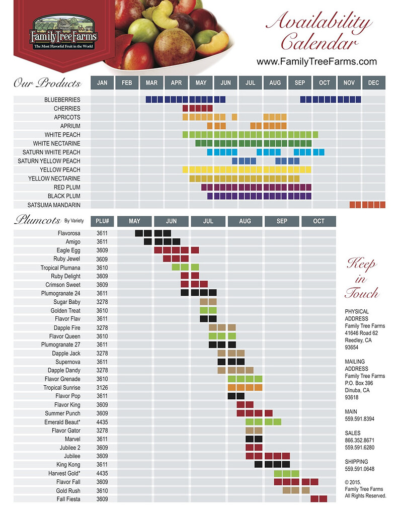 Name This Plum (FruitTreeFarms) Edition General Fruit Growing