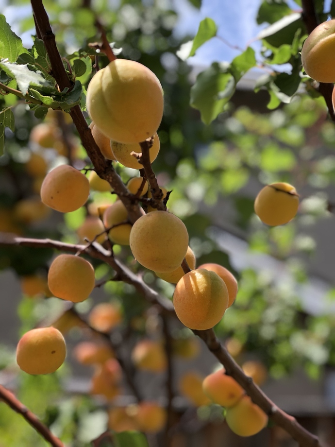 163928BC-D78A-45C9-80F2-F017F44B089B