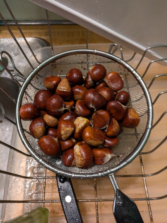 PXL_20240925_224800817