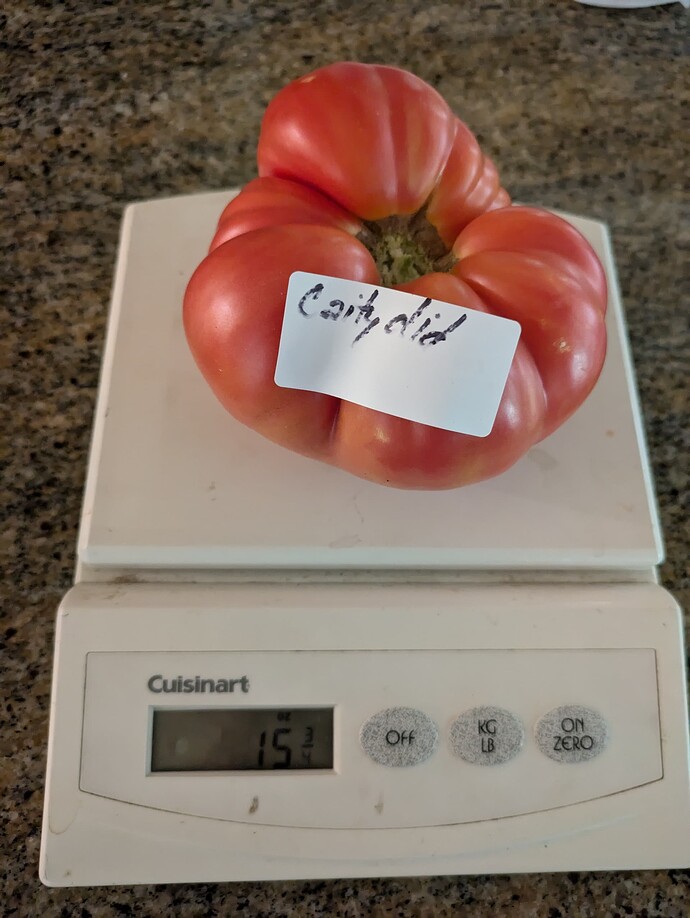 PXL_20240715_161502925