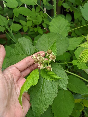 PXL_20220618_231110886