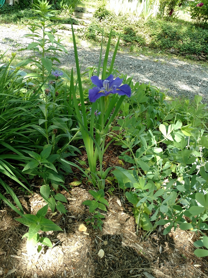 IMG_20180527_105407690