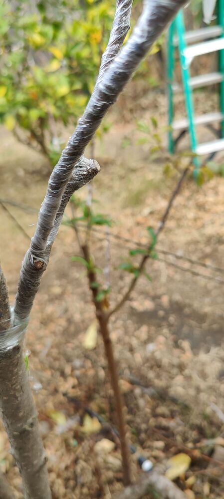 IMG_20231218_121104
