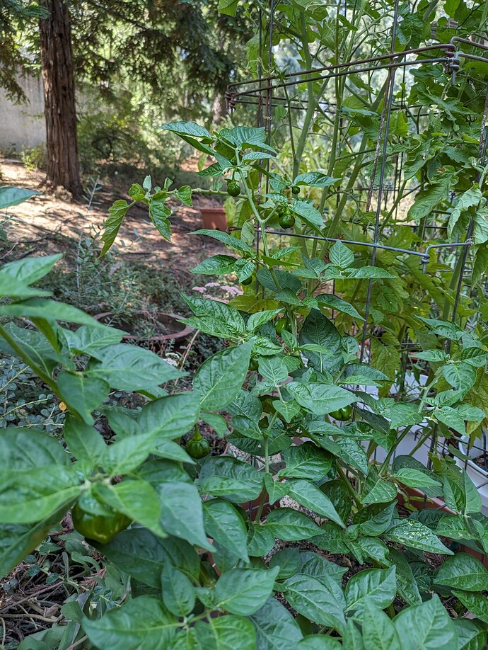 PXL_20230831_191339037