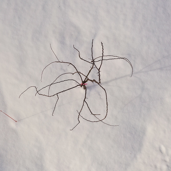 DJI_0119
