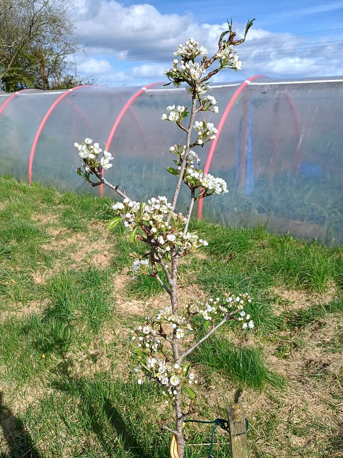 IMG_20240413_162009030_HDR