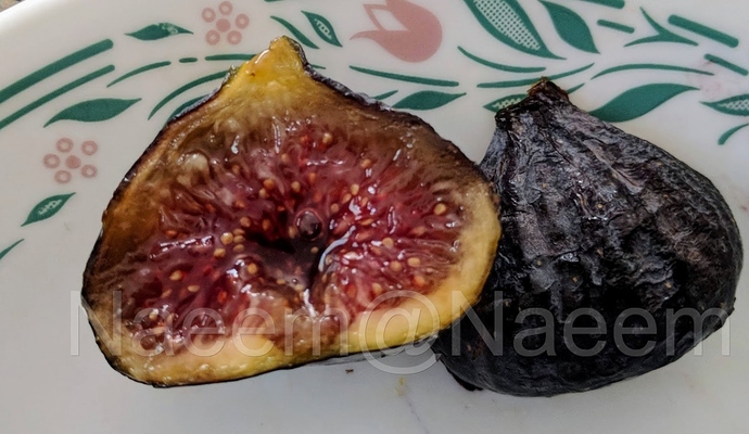 Cravens%20Craving%209