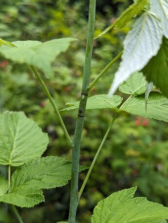 PXL_20230622_221202274