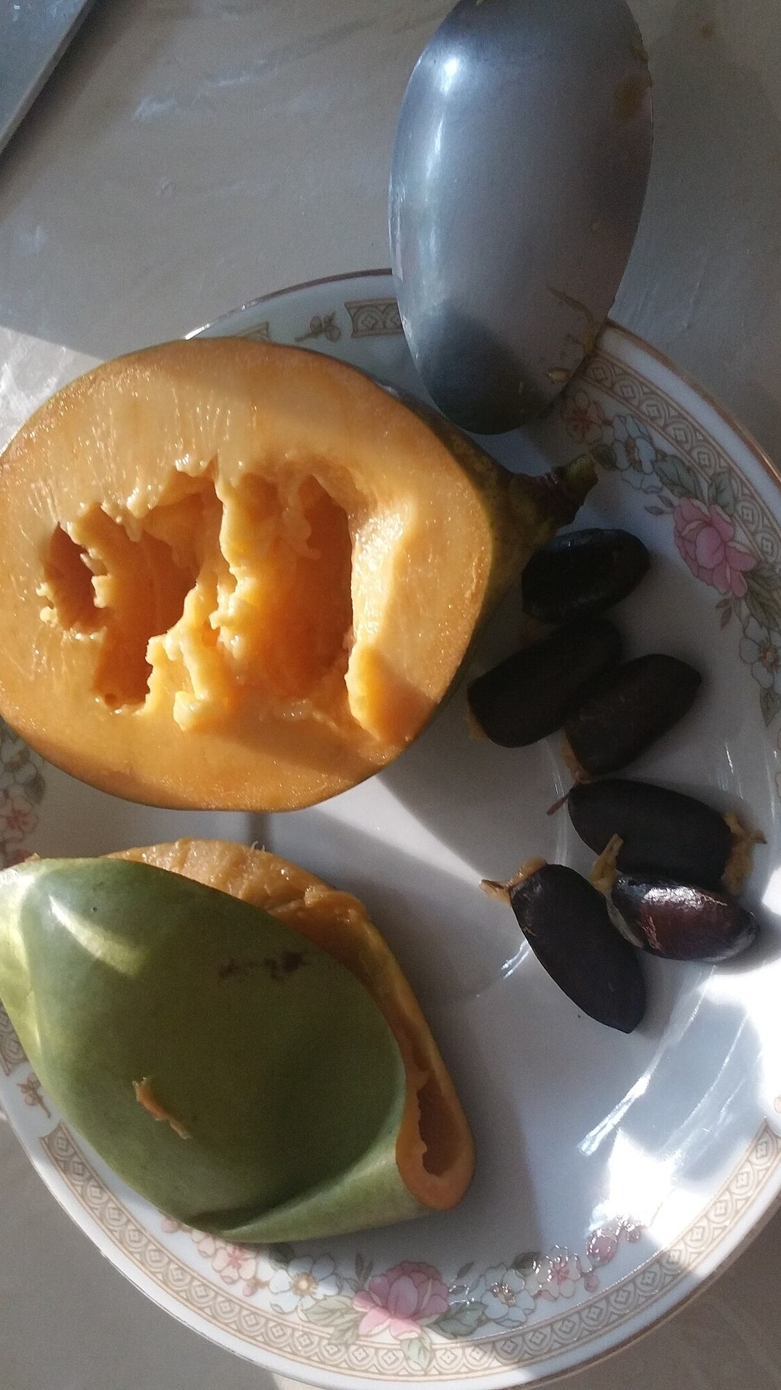 Susquehanna Paw Paw ripening Pictures! Growing Fruit