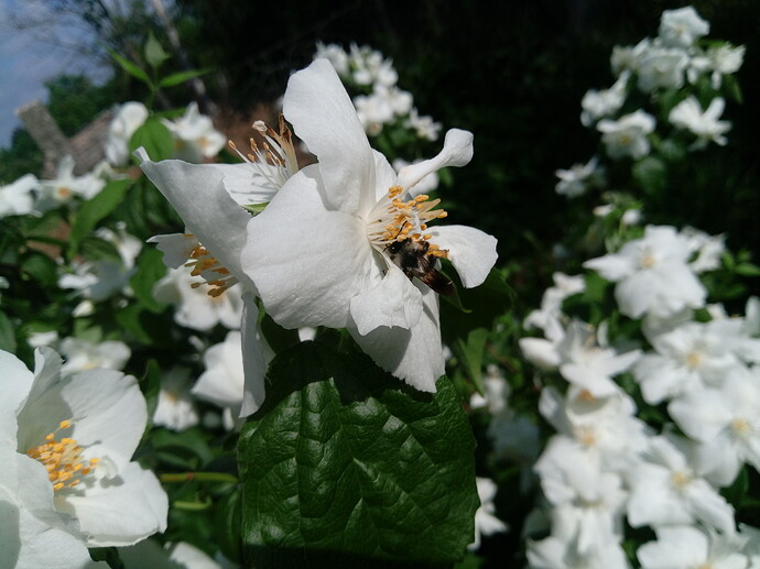 IMG_20240519_100007_863