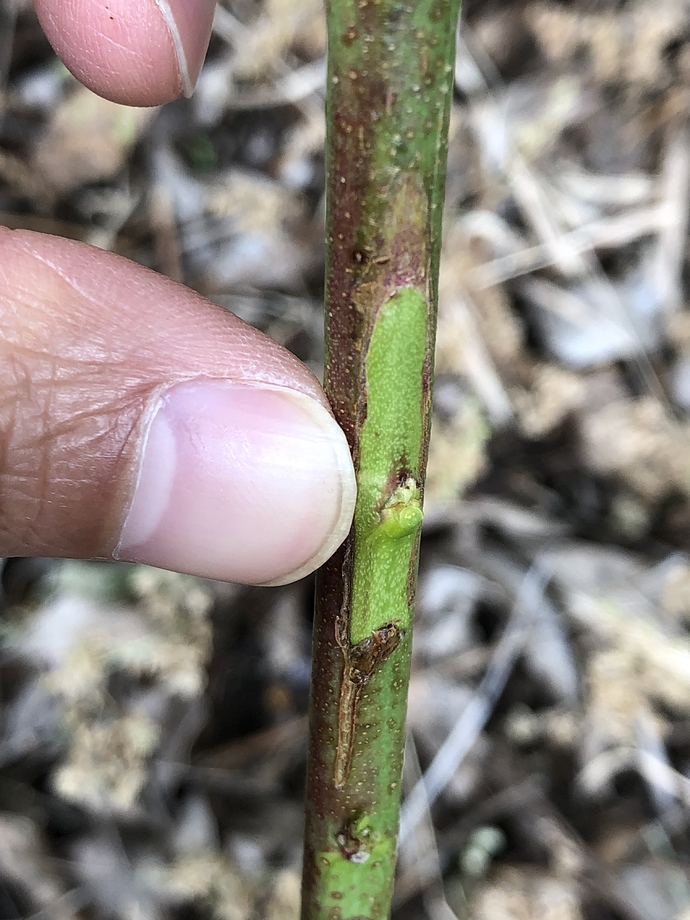 20190628_185719882_iOS