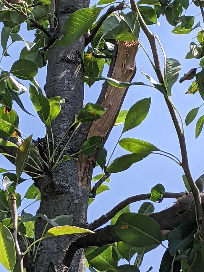 PXL_20220724_155047906.MP