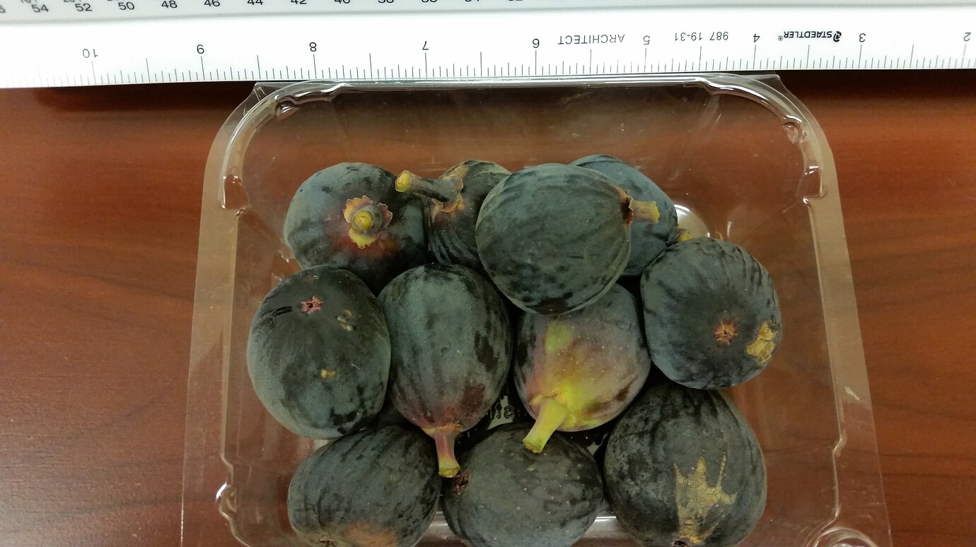 A rare find....fresh figs at a chain grocery store General Fruit Growing Growing Fruit