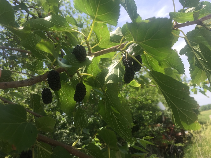 551A8549-BB51-439C-B4A6-6ED71AA8E335