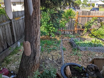 PXL_20230526_165215202