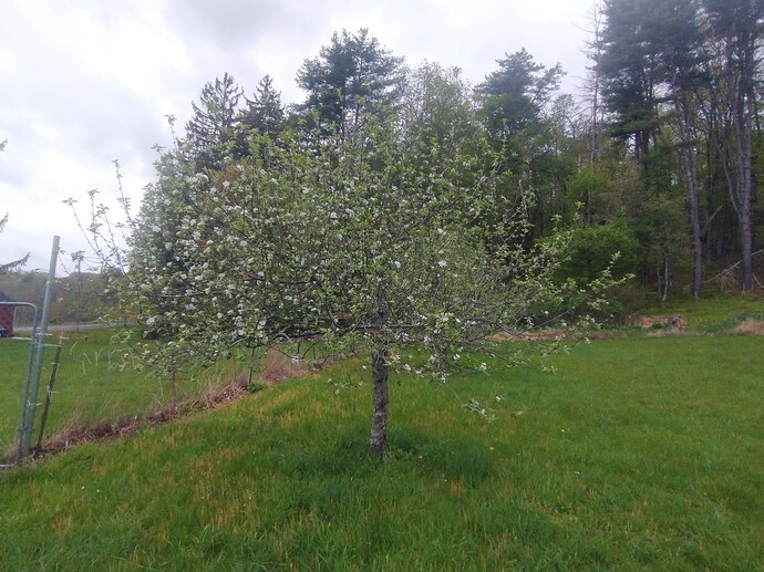 IMG_20250503_125401863