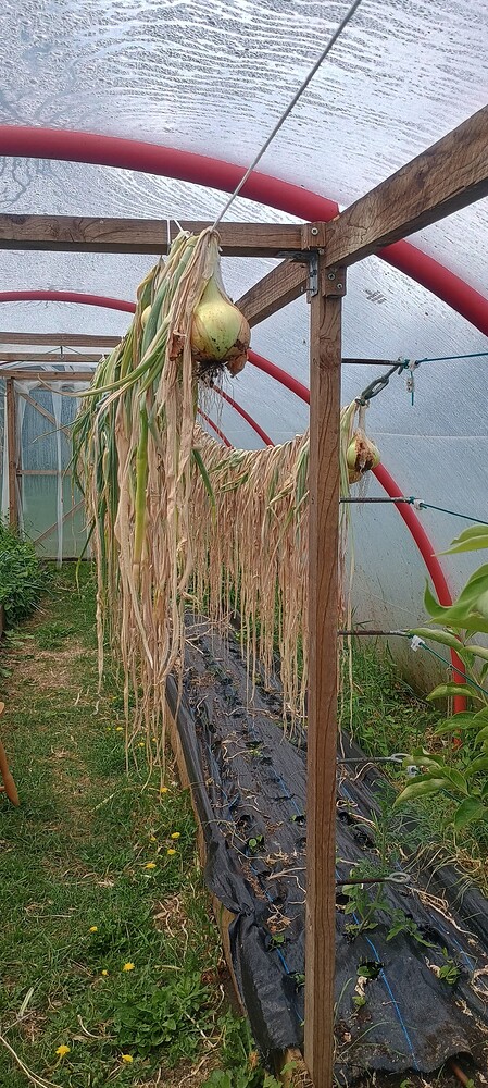 IMG_20250528_110237515_HDR