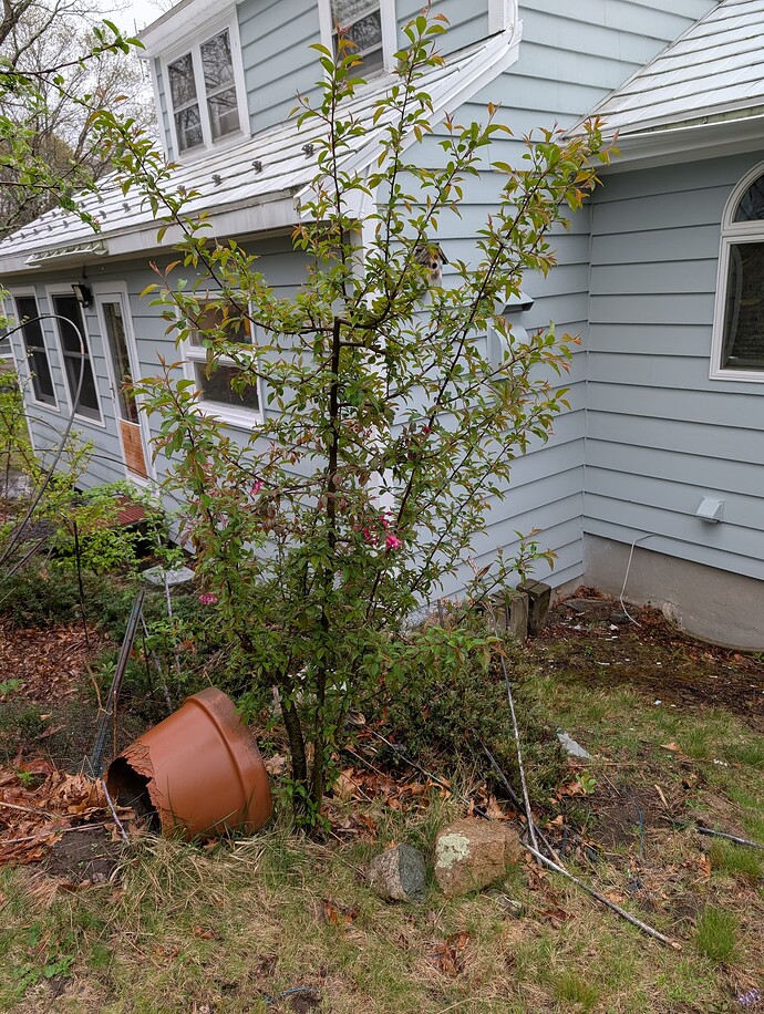 PXL_20250426_153228931