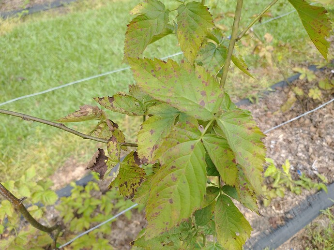 IMG_20220904_110912507