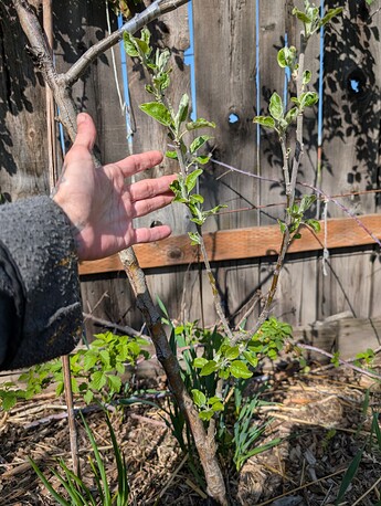 PXL_20250424_163915135