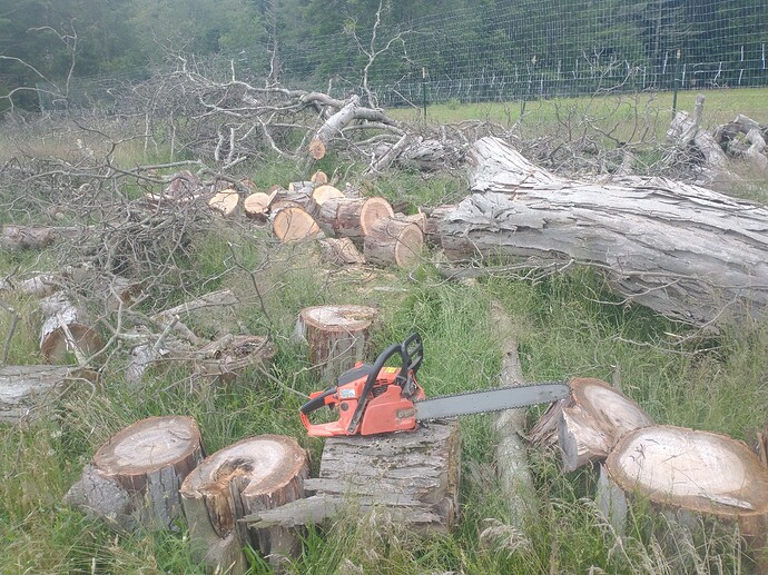 IMG_20230704_130227823