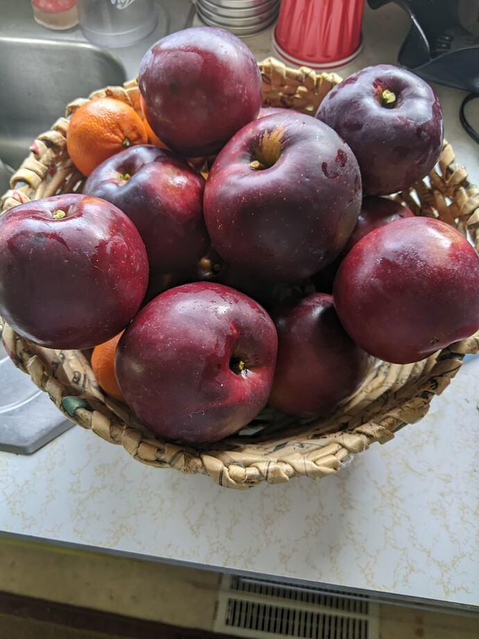 PXL_20231011_173443677