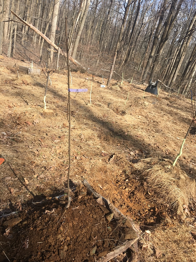 78ED470A-40C0-490C-BEF9-F05518C09DB0