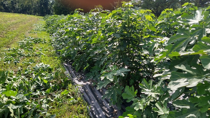 IMG_20200822_155612098_HDR