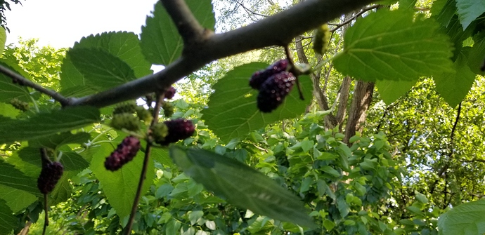 20190624_121020