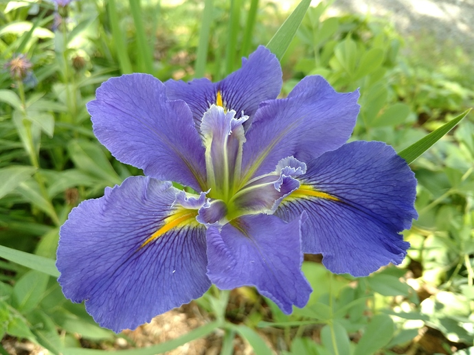 IMG_20180527_105400775