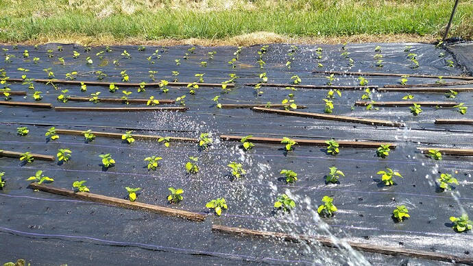 IMG_20210606_121339180