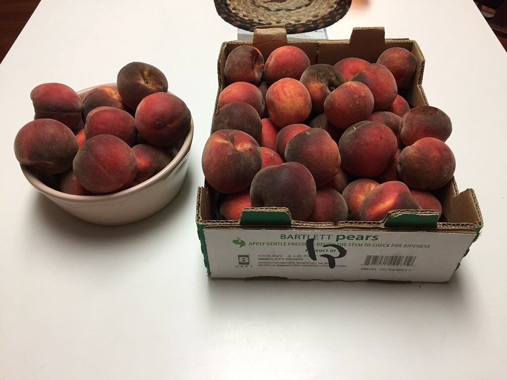 Blazingstar peach - General Fruit Growing - Growing Fruit