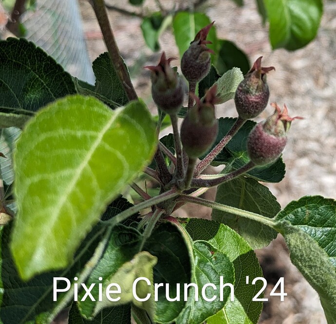 PXL_20240509_174002175~3
