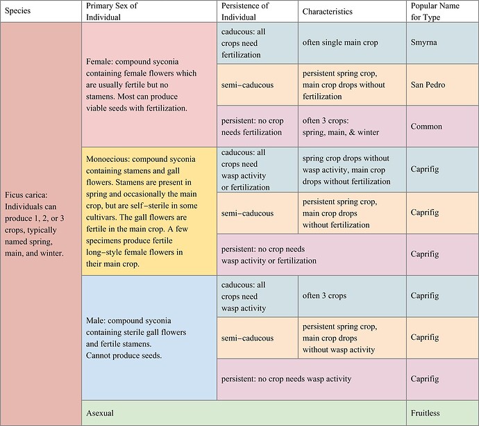 Fig types disambiguation