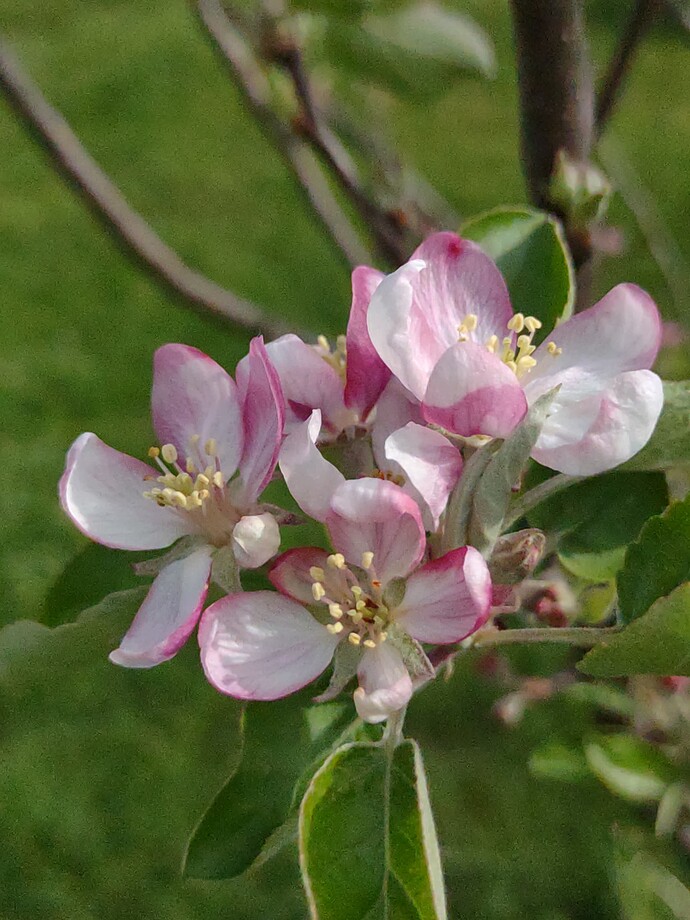 IMG_20250416_172425833