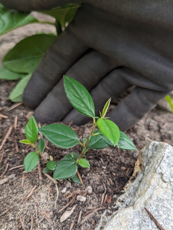 PXL_20230903_194607233