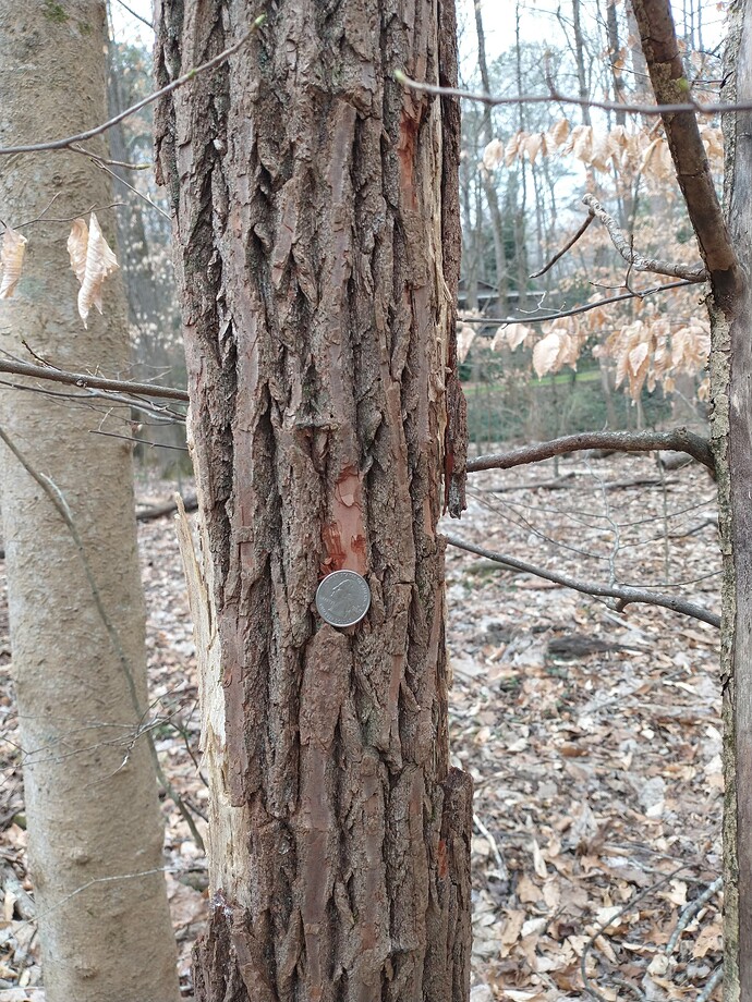 IMG_20240228_102223102