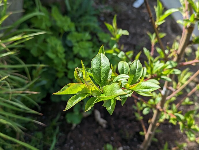 PXL_20230427_165810157