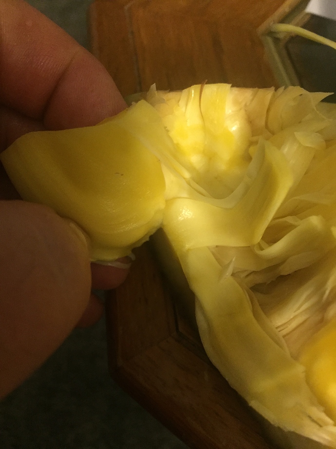 371F0FD2-831D-45B9-B4A4-0BEDB47F7ECC