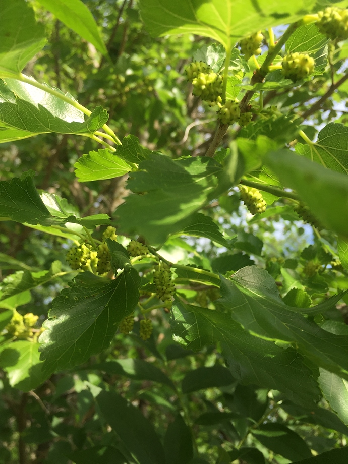 6A201E90-45B1-44B7-BDE0-7B7D1E8CB5D2