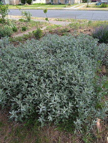 PXL_20250515_204934748