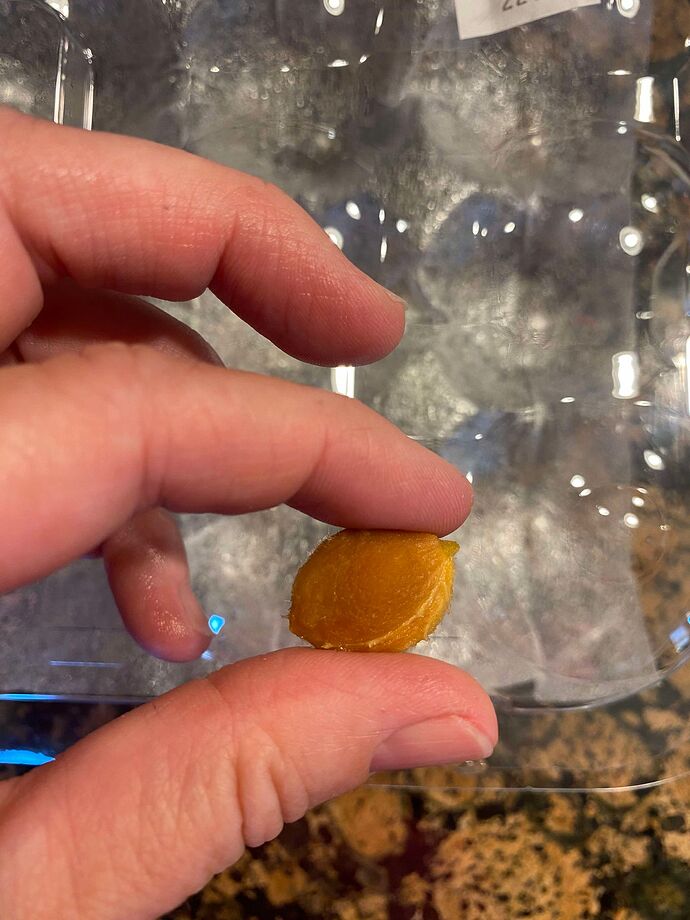 456576180_804552394884129_57718903405645904_n