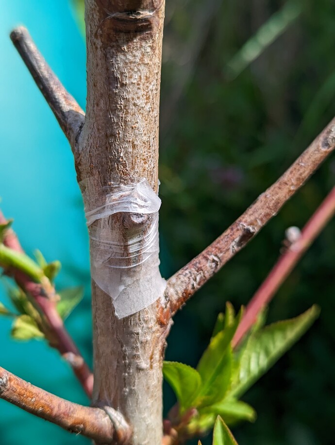 PXL_20230427_165912472