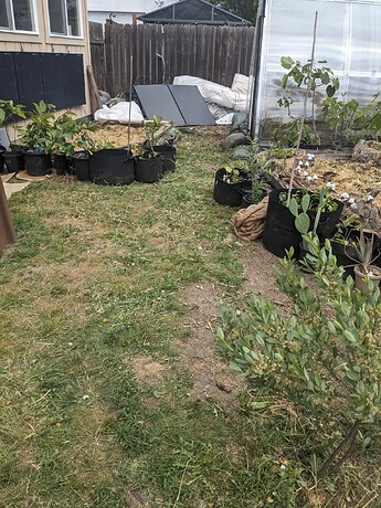 PXL_20240516_204726297