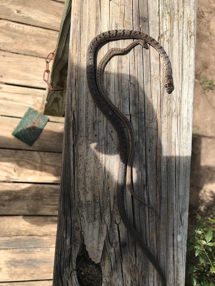 2656F2A9-4248-459F-B608-0C1ADE027711