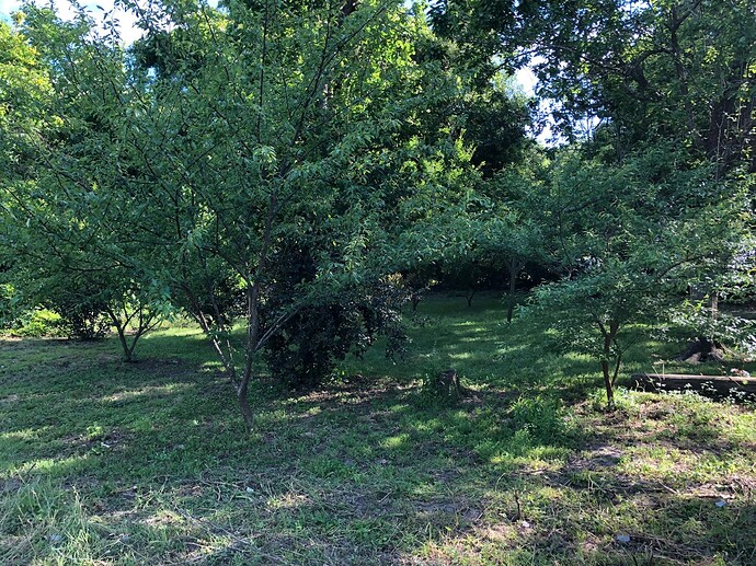 340931213_181925194702218_5805690618940959819_n