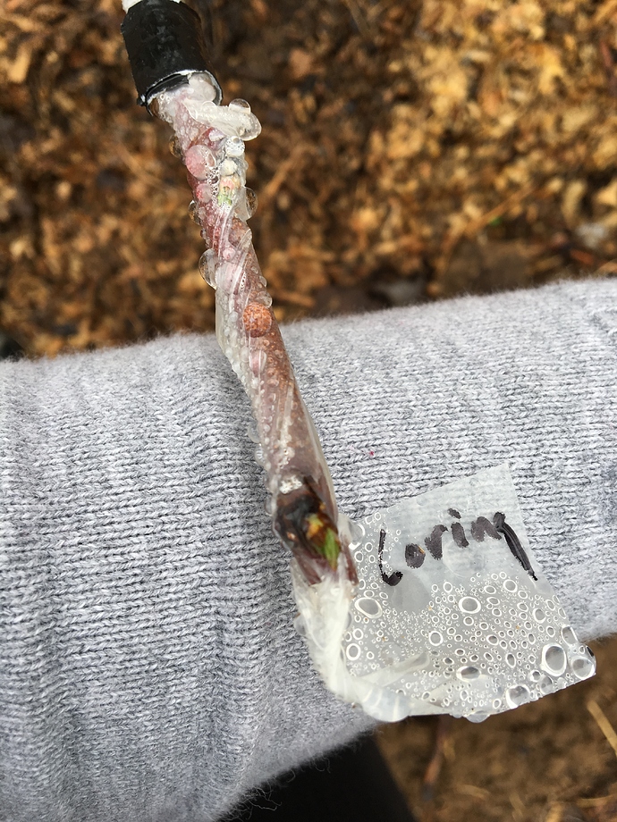 1523A9A7-138B-4EE0-A0E1-F7CEB44CAB4E