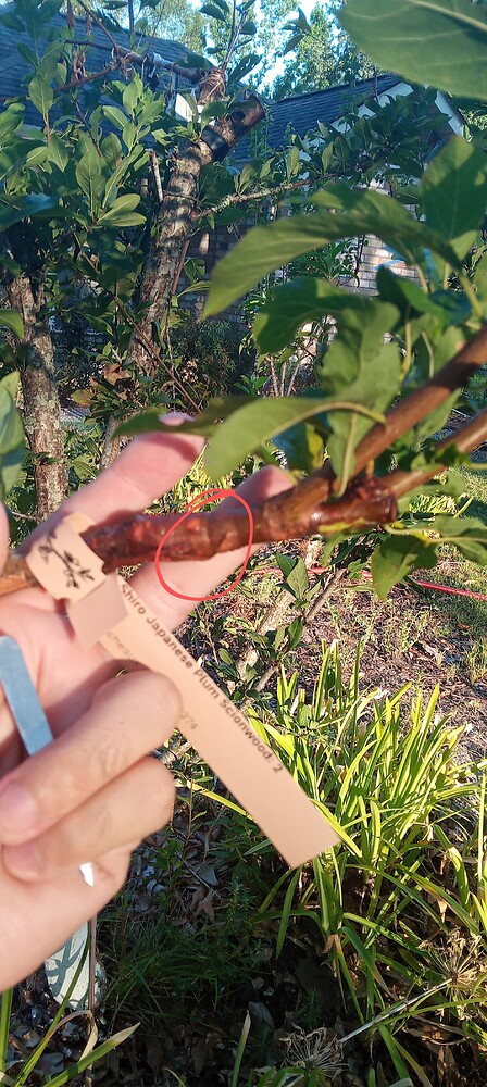 IMG_20230825_182750~2